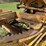 caterpillar-d3c-xl-image-69