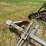 #51900-•-bowman-water-furrow-plow-inv#51900-image-7