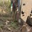case-ih-496-image-54