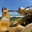 caterpillar-289d3-image-63