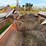 #51922-•-miskin-sp-315-dirt-pan-21115-inv#51922-image-12