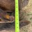 #51940-•-prime-1008-cultivator-27887-inv#51940-image-10