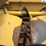 lexion-c508-38-image-37