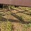 #51911-•-30'-chisel-plow-inv#51911-image-58