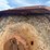 bush-hog-2615-image-17