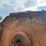 bush-hog-2615-image-29