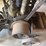 cushman-model-c-engine-image-11
