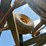 #51901-•-2007-kelly-diamond-45-rice-harrow-806-45r-inv#51901-image-13