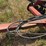 case-ih-496-image-40