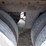 2009-great-dane-van-image-21