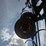 dmi-tiger-image-9