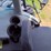2015-new-holland-t8.350-image-73