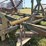 #51901-•-2007-kelly-diamond-45-rice-harrow-806-45r-inv#51901-image-30