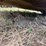 bush-hog-2615-image-30