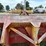 #51922-•-miskin-sp-315-dirt-pan-21115-inv#51922-image-14