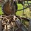 bowman-mudmaster-image-83