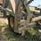 #51901-•-2007-kelly-diamond-45-rice-harrow-806-45r-inv#51901-image-34