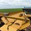 lexion-c508-38-image-12