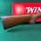 nib-winchester-sxp-12ga-shotgun-image-3