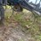 dmi-tiger-image-26