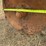 #51915-•-water-furrow-plow-inv#51915-image-14