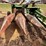 john-deere-3950-image-23