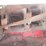 gehl-1065-tandem-axle-forage-chopper-w/2-heads---nice-image-44