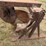 #51915-•-water-furrow-plow-inv#51915-image-12