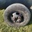 2003-dodge-ram-3500-4x4-4-door-truck-image-13
