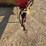 new-holland-316-image-9