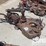 bj-rs-hyd-tubing-tongs-image-1