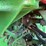 john-deere-8430-image-39