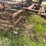 #51911-•-30'-chisel-plow-inv#51911-image-22
