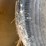 unverferth-3755-image-6