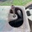 mccormick-6hp-project-image-14