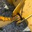 caterpillar-289d3-image-73