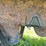 2000-wilson-patriot-belt-trailer-image-29