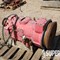 liquidation-of-exact-well-service-image-6