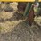 #51910-•-roll-a-cone-12-row-38"-spacing-hipper-10-3218-inv#51910-image-73