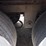 2016-utility-4000d-x-image-21