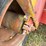 #51922-•-miskin-sp-315-dirt-pan-21115-inv#51922-image-57