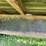 doo-little-gn-trailer-102x36-image-18