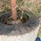 bush-hog-2615-image-6