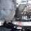 2019-freightliner-cascadia-116-image-25