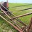 #51907-•-*inop-duetz-f2l912-2-cyl-power-unit-w/-trailer-inv#51907-image-23