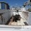 auto-crane-6006eh-image-5