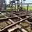 #51911-•-30'-chisel-plow-inv#51911-image-47