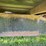doo-little-gn-trailer-102x36-image-16