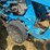 #51909-•-monosem-12-twin-row-38"-center-planter-05a116-inv#51909-image-76