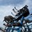 dmi-tiger-image-48